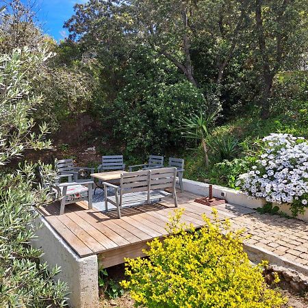 Villa K Presqu Ile De Giens Hyères Exteriör bild