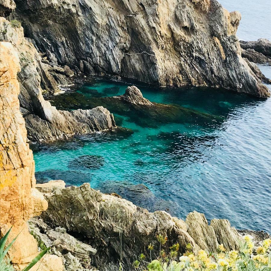 Villa K Presqu Ile De Giens Hyères Exteriör bild